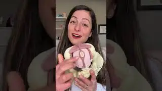 Five tips for butthole play 