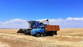 Воскресный стримчик