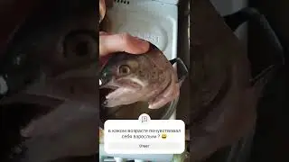 взрослость это когда ?😃