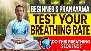 Pranayama for Beginners: Test Your Breathing Rate | 3 Powerful Exercises