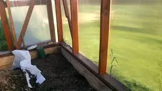 Наши близкие соседи "змеи, зайцы и медведи")