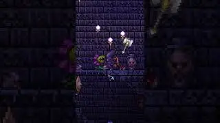 Terraria Tiny Detail Paladin