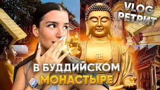 VLOG! МОЙ ПЕРВЫЙ РЕТРИТ НА САМУИ, ДЕРЕВЯННАЯ КРОВАТЬ И ХОЛОДНЫЙ ДУШ