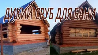 БАНЯ - ДИКИЙ СРУБ или ПЬЯНАЯ РУБКА. Большой ПРОЕКТ в МАМАДЫШЕ