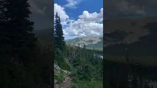 😍🌳
