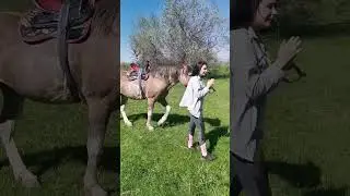 Любимая ♥️