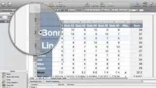 Numbers: adding rows