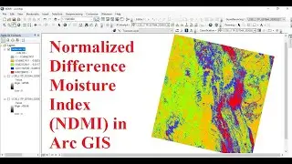 Normalized Difference Moisture Index (NDMI) in Arc GIS