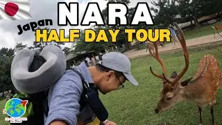🇯🇵 NARA, JAPAN Half Day Travel Guide  #japan #japantravel #narajapan
