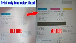 Hp Ink Tank 410 Series Not Printing Red, Yellow And Black ( Update 2024 )