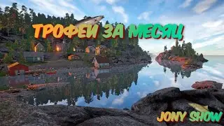 #РР4