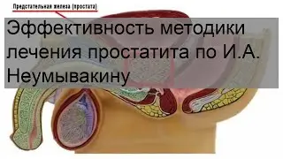 Эффективность методики лечения простатита по И.А. Неумывакину