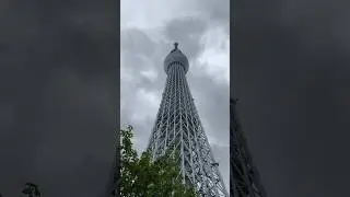 Япония