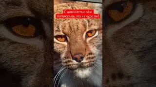 Слава Богу, что ты есть на свете. Когда такие люди есть, цените их