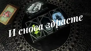 Какая сука  на Вас магичет 🐍 ? 