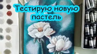 Итоги недели №67. Обзор пастели и раскрашенные работы