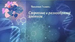 Биология 7 кл Пасечник $27 Строение и разнообразие цветков