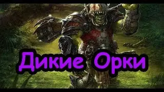 Дикие Орки, Вуррзаг. (Легенда, Смертные империи.) TW Warhammer 2. ч.15