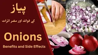 Onions Benefits and Side Effects | (Ai info) پیاز کے فوائد اور مضر اثرات