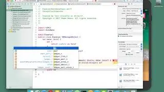 03 Core Data Relationships - Creating Subclasses for Entities - Expenses with Categories App