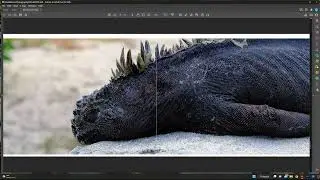 Modeling a book in Rhino 3D and Blender to animate in Unreal Engine 5 (3 of 4)