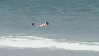 Sharks spotted at Jax Beach