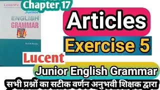 Exercise 5 articles | lucent grammar