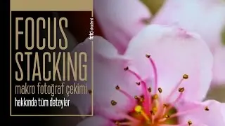 Focus Stacking Tekniği ile Makro Fotoğraf Nasıl Çekilir?