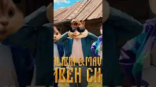 Galibri & Mavik - Стивен Сигал 