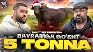 GO'SHT - BAYRAMGA 5 TONNA 😱 SANKT-PETERBURG