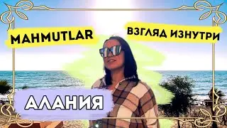 МАХМУТЛАР  | районы АЛАНИИ ОБЗОР ФЕВРАЛЬ