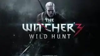 The Witcher 3 Wild Hunt on NVIDIA GT 740M 2GB