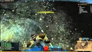 Guild Wars 2 - Blasted Moors Skillpoint Guide