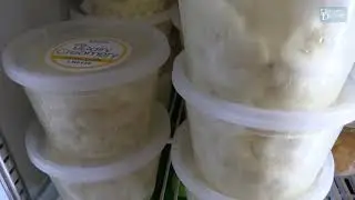 UDairy Creamery introduces cheese curds