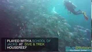 Sidemount and Ligpo Island - Anilao Dive Resort Site by Blue Ribbon Dive Resort