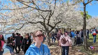 Washington, D.C. Day 2 | Cherry Blossoms & Museums