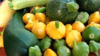 Summer Squash 101