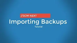 How to export and import settings