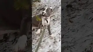 АМСТАФФ ХОЛЛИ| 3 МЕСЯЦА И 2 ГОДА 🔥🔥🔥