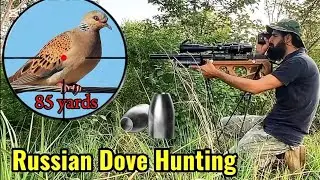 Russian Dove Hunting | Air gun Hunting | QS mk3 BT | H&N Slugs | Hunting in Pakistan | FX impact m4