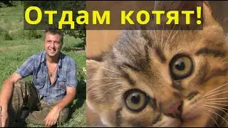 НОВОЕ СЕЛО: ОТДАМ ТЕМ, КТО ВЛЮБИТСЯ!)