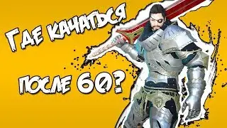 Black Desert – Где качаться после 60-го? | Гайды Black Desert