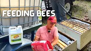 Beekeeping: Feeding My Bees to Prevent Starvation