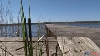 Дачники района Пипики зовут на помощь городские службы