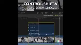Final Cut Pro Shortcut | Control-Shift-V | Solo Animation