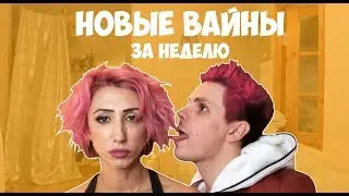 НОВЫЕ ВАЙНЫ ЗА НЕДЕЛЮ (