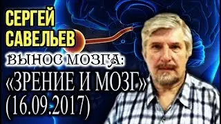 «ВЫНОС МОЗГА #10»: «Зрение и мозг». 16.09.2017. Савельев С.В.