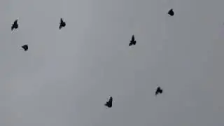 Полёты Георгия Шпунтова 2018 год