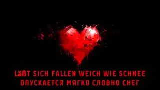 Rammstein - Amour lyrics Текст песни и перевод