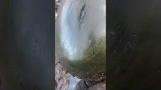 #НЕВЕДОМАЯ